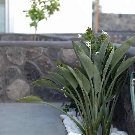 Alafropetra Luxury Ξενοδοχείο με διαμερίσματα 4*