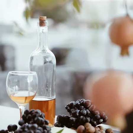 Ξενοδοχείο με διαμερίσματα Alafropetra Luxury