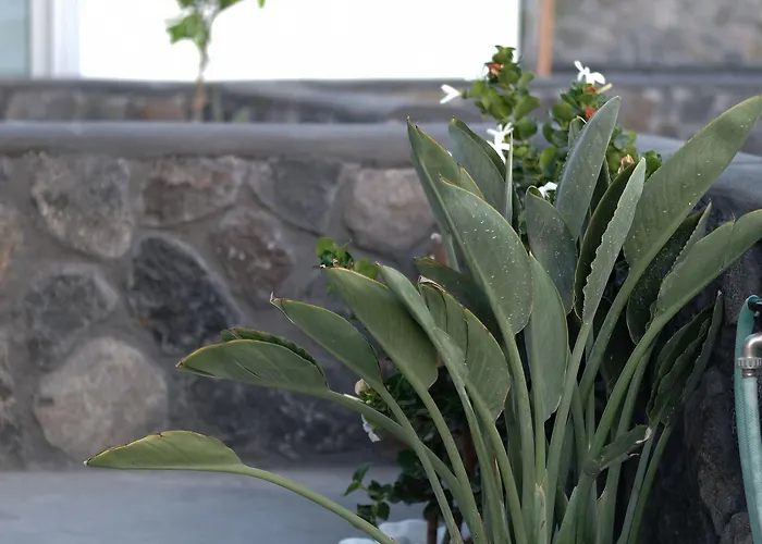 Alafropetra Luxury Apartmanhotel 4*